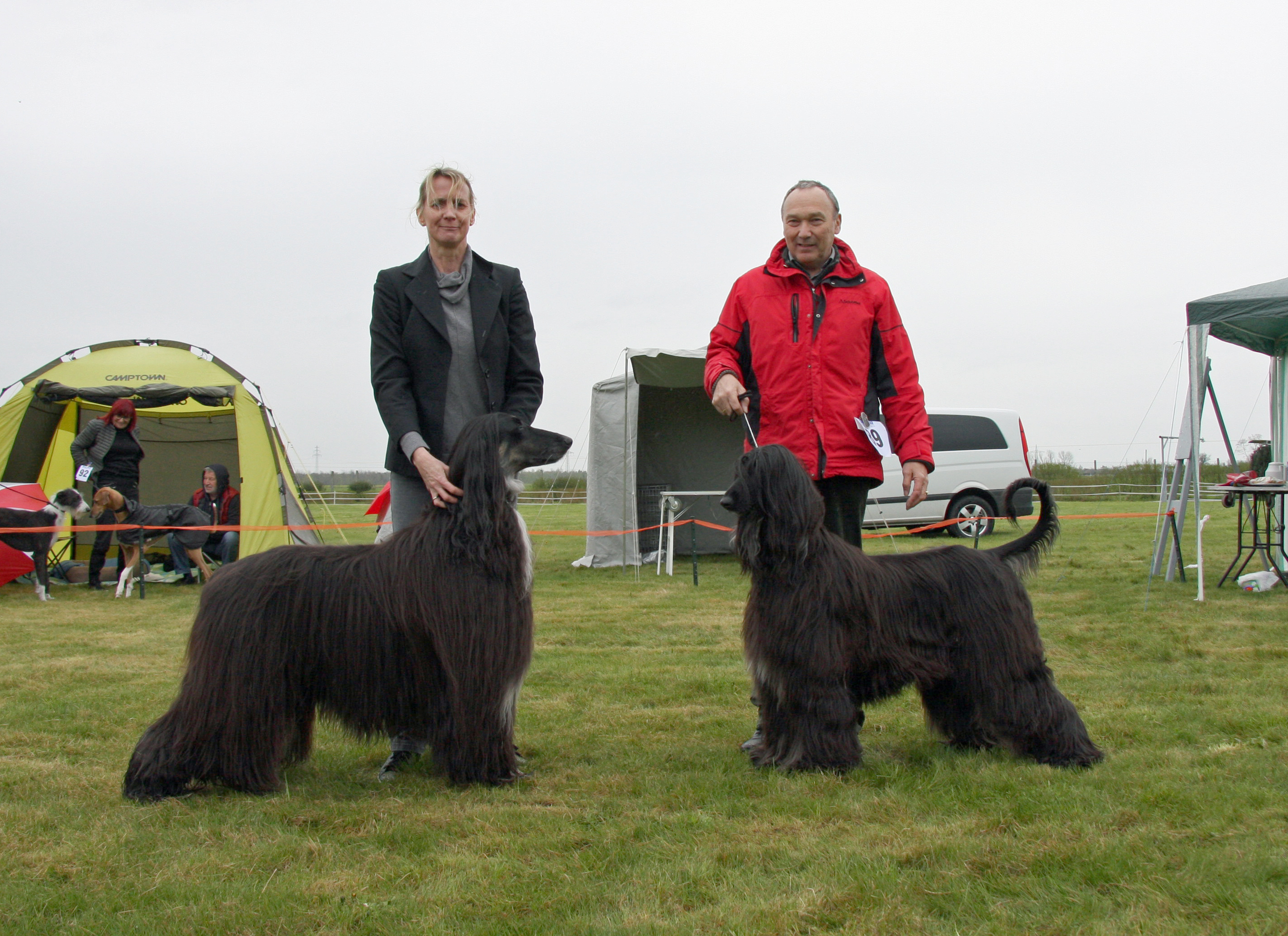 BOB Bahir & Blacky BOS Greppin 2016 BOB Bahir & Blacky BOS Greppin 2016