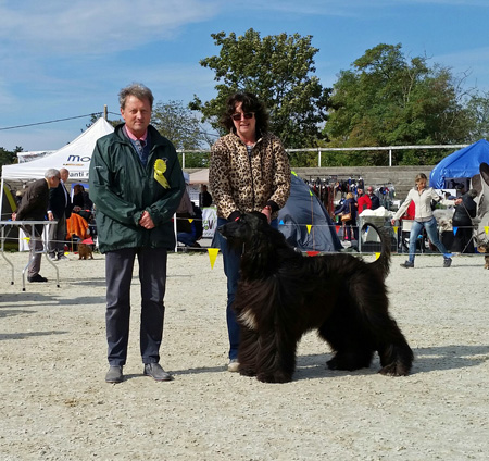 Lipica 2016 Dayas CACIB & BOS Lipica 2016 Dayas CACIB & BOS